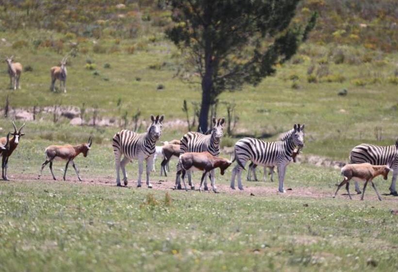 Hôtel Soloko Game Farm