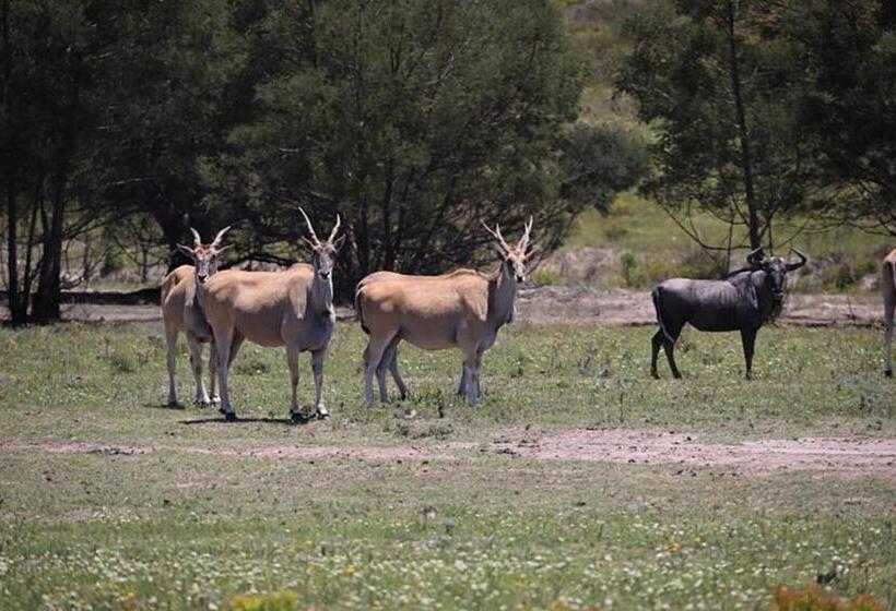 Hôtel Soloko Game Farm