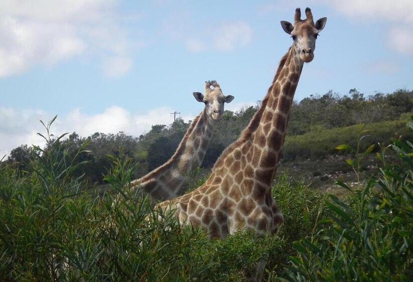 Hôtel Soloko Game Farm