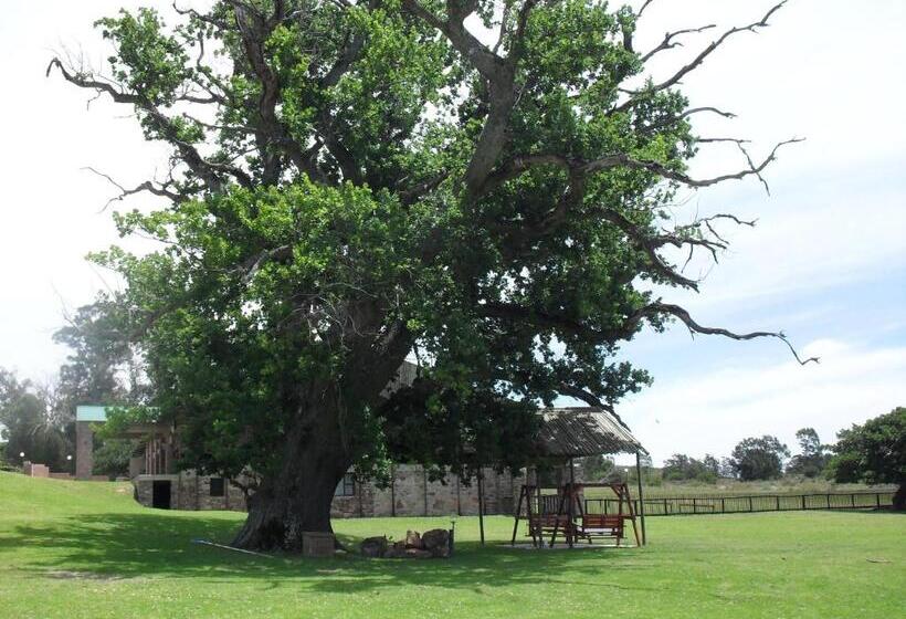 Hôtel Soloko Game Farm