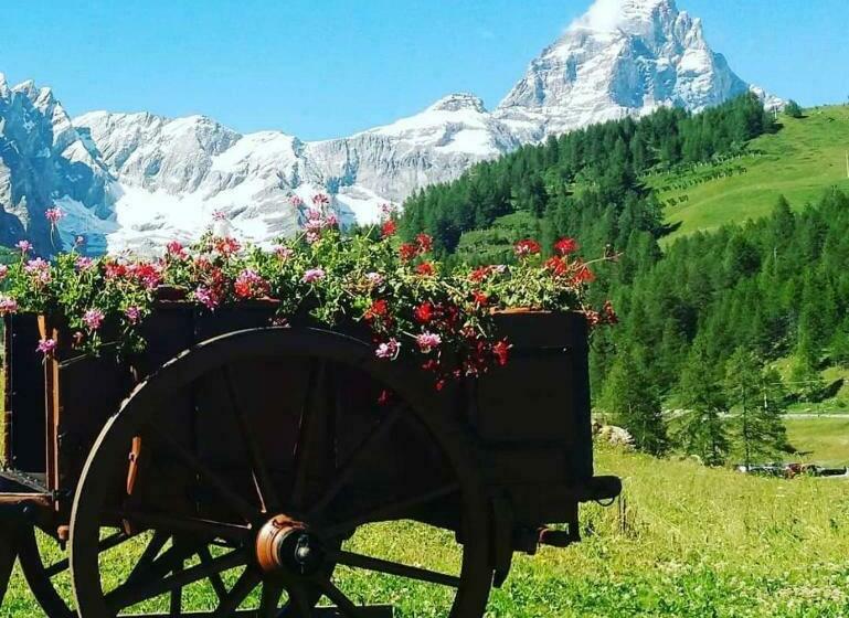 پانسیون La Luge