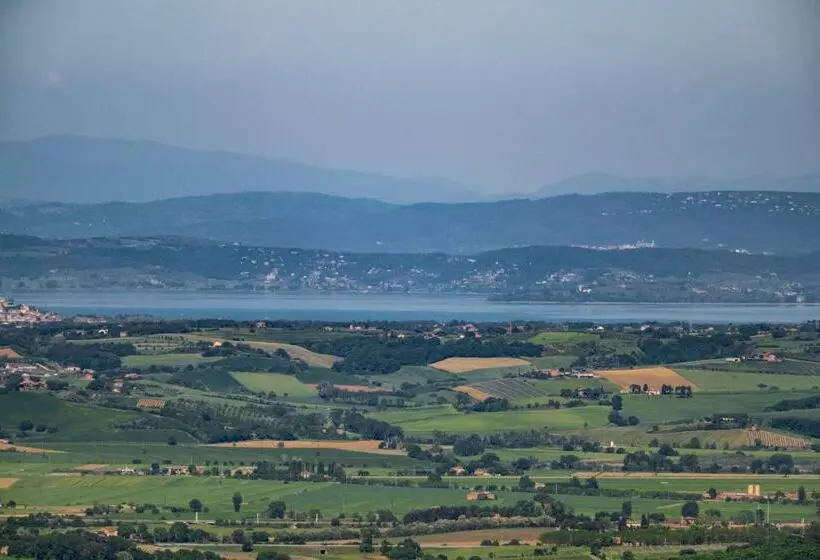 ホテル Palazzo Del Mercante