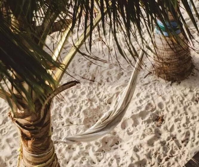 Aamiaismajoitus (B&B) Pronoia Casa De Playa