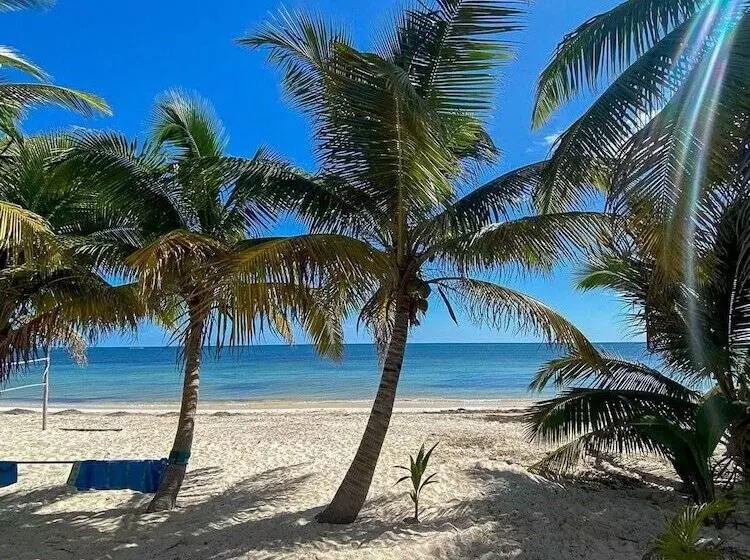 Aamiaismajoitus (B&B) Pronoia Casa De Playa