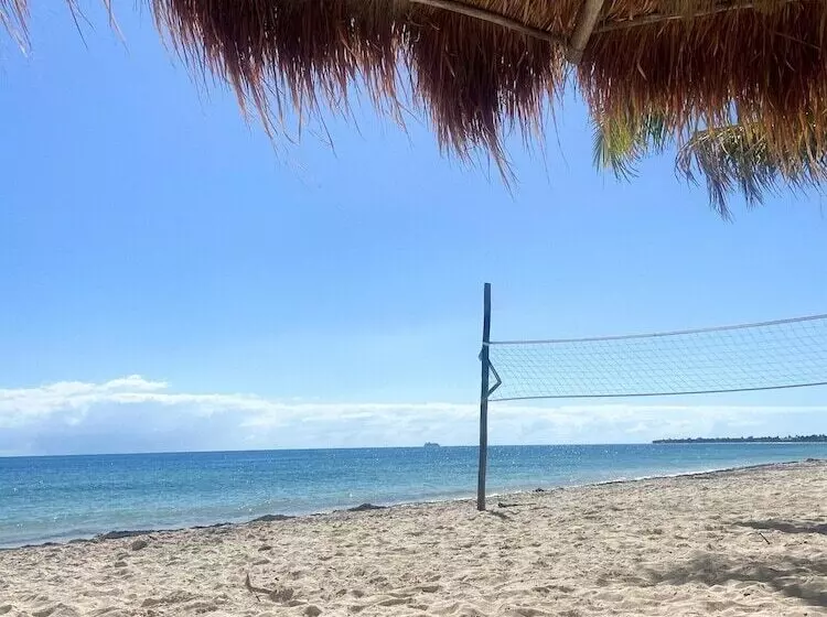 Aamiaismajoitus (B&B) Pronoia Casa De Playa