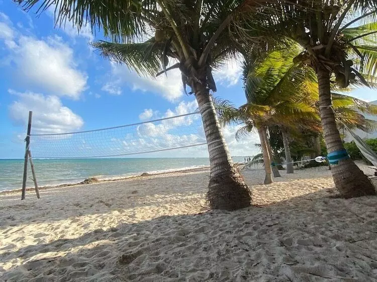 Aamiaismajoitus (B&B) Pronoia Casa De Playa