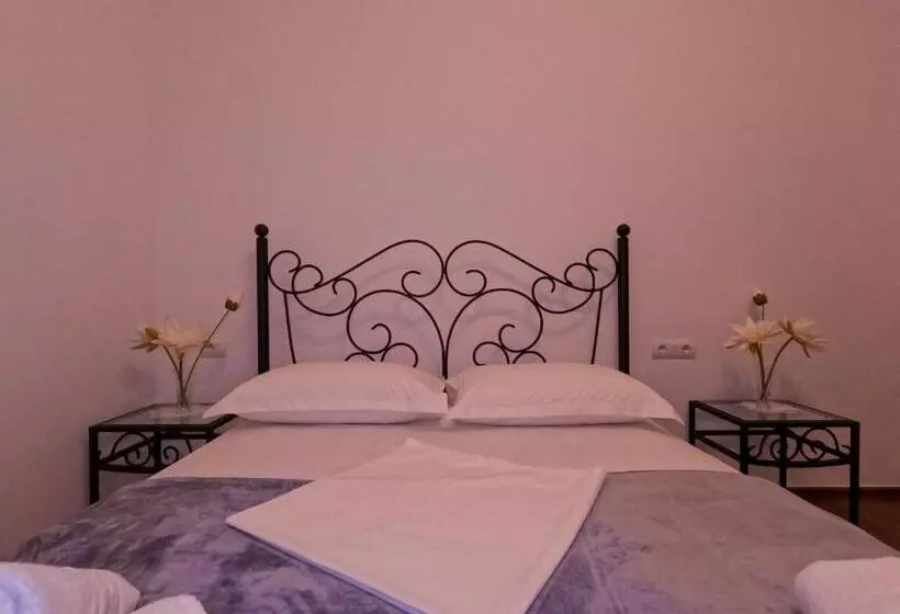 ペンション Intown Guesthouse Shkoder