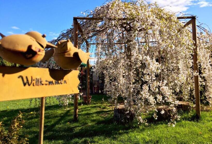 Cascina Rocca Agriturismo B&b