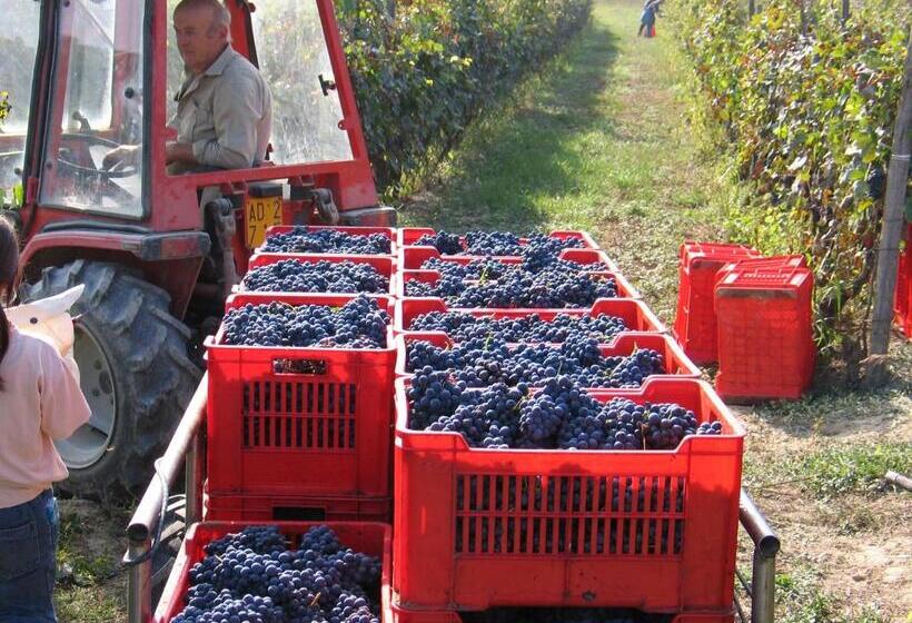 Cascina Rocca Agriturismo B&b