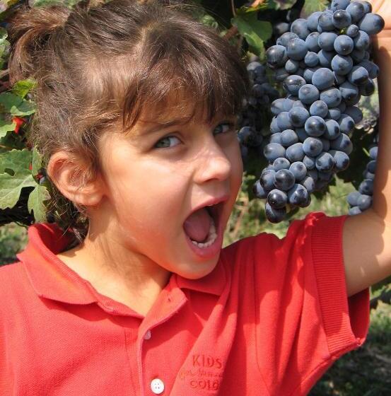 Cascina Rocca Agriturismo B&b