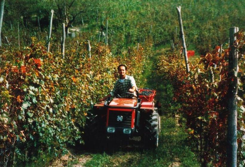 Cascina Rocca Agriturismo B&b