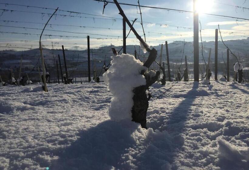 Cascina Rocca Agriturismo B&b