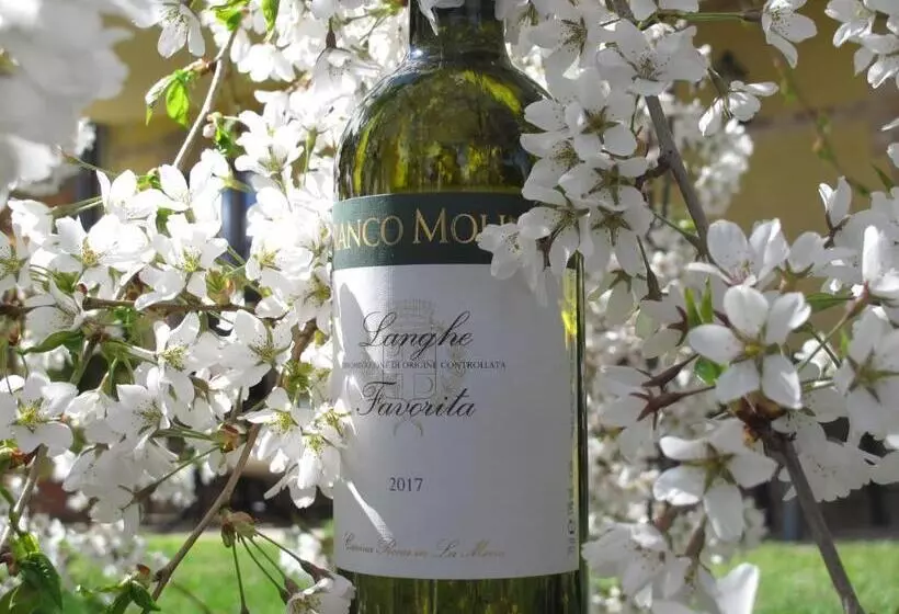 Cascina Rocca Agriturismo B&b