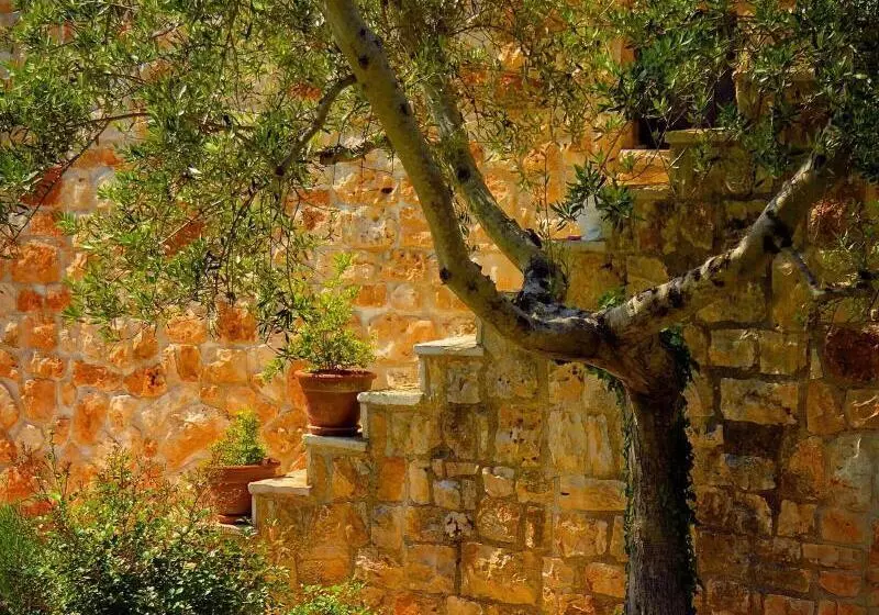 Fontana Vecchia B&b