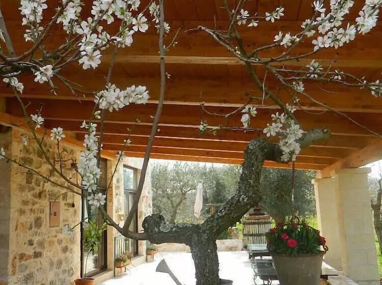 Fontana Vecchia B&b