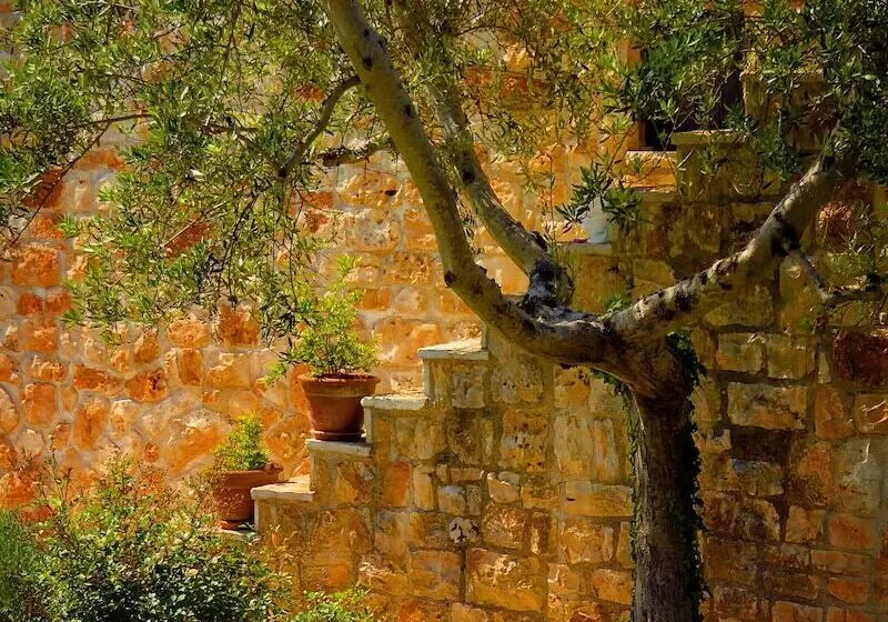 Fontana Vecchia B&b