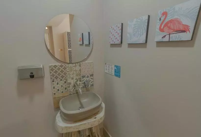 فندق Casa Avelina Boutique Hostel