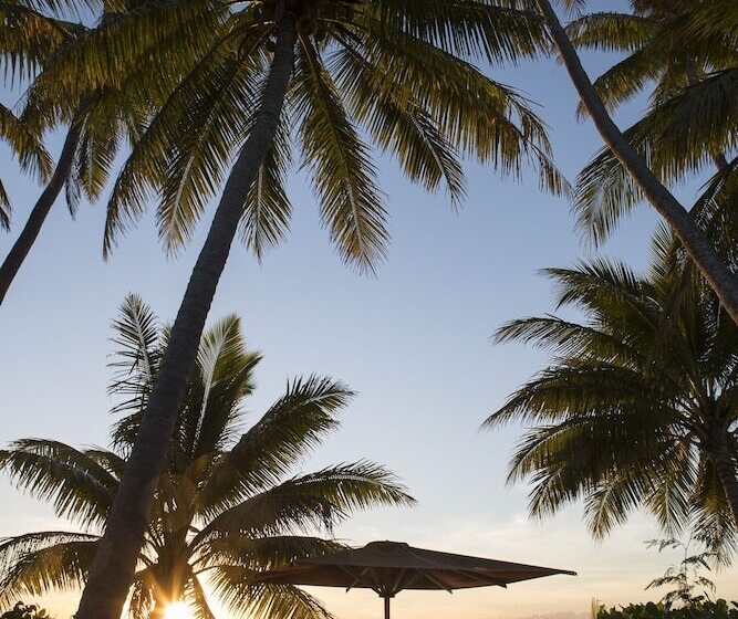 فندق Nukubati Great Sea Reef