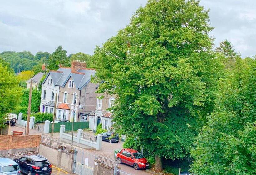 호텔 Redclyffe Guesthouse