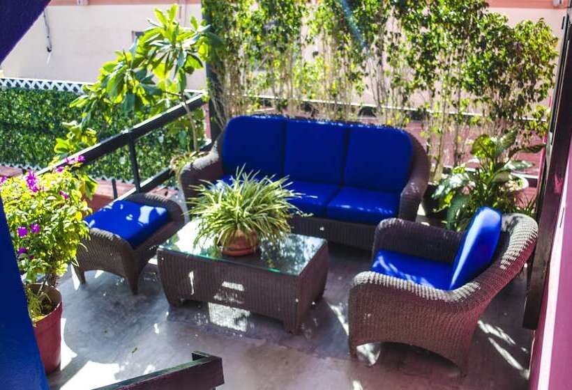 בית מלון כפרי Siesta Suites Boutique