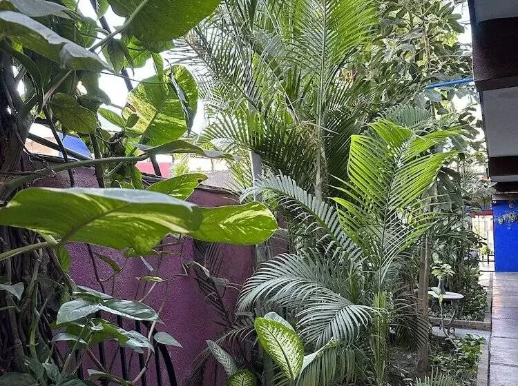 هتل Siesta Suites Boutique