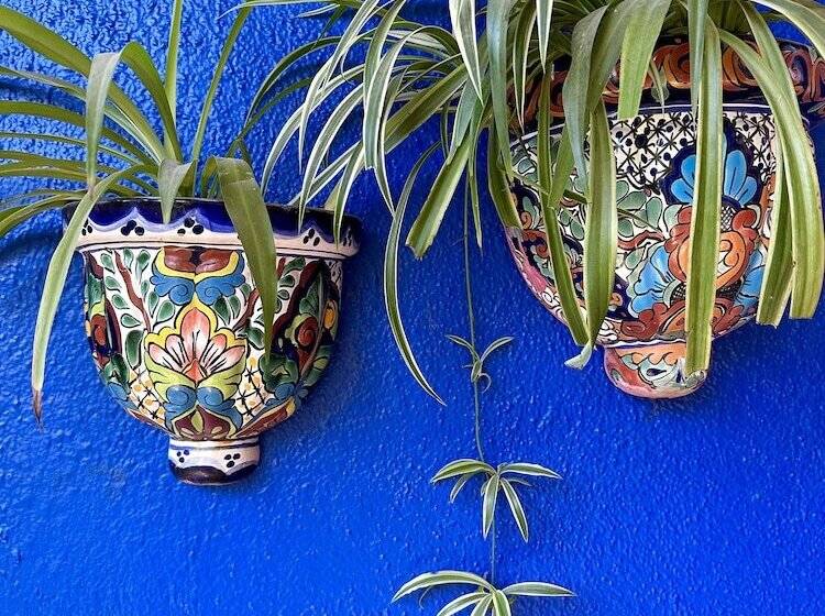 בית מלון כפרי Siesta Suites Boutique