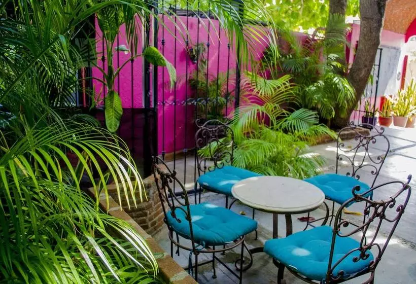 هتل Siesta Suites Boutique