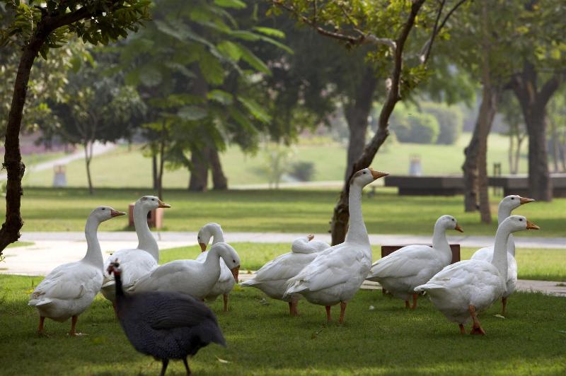 ホテル The Westin Sohna Resort & Spa