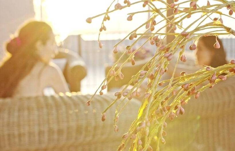 Waterlily Hotel Apartments