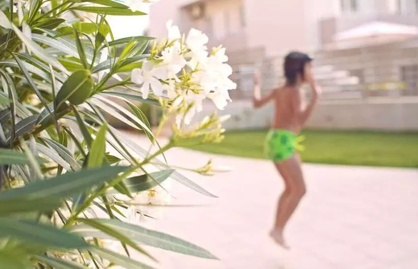 Waterlily Hotel Apartments