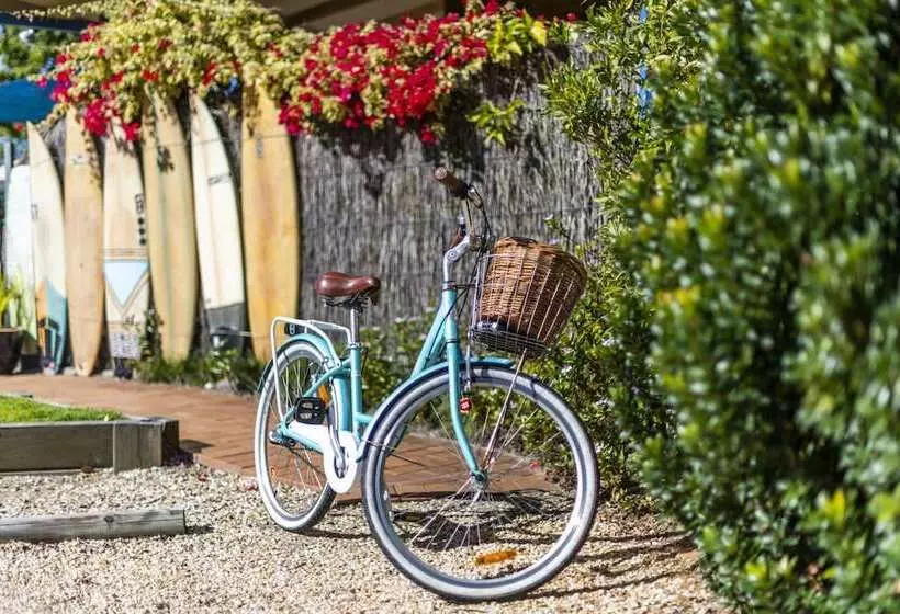 Мотель The Carmel Yamba