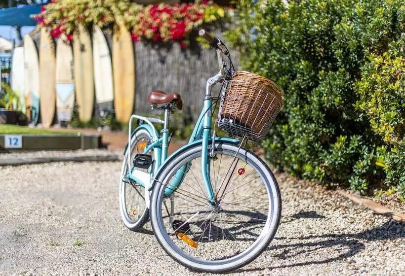 Мотель The Carmel Yamba