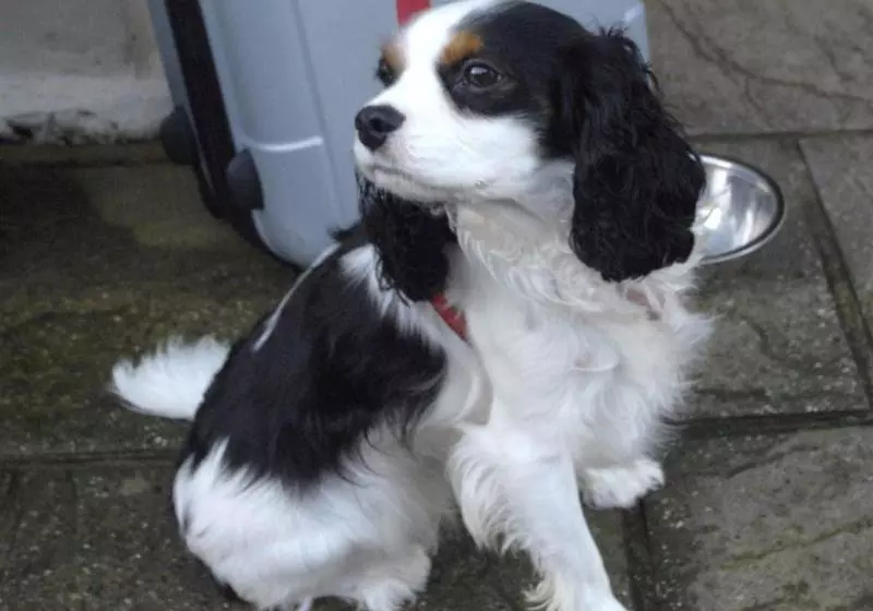 Пансион Hillside House Guest House