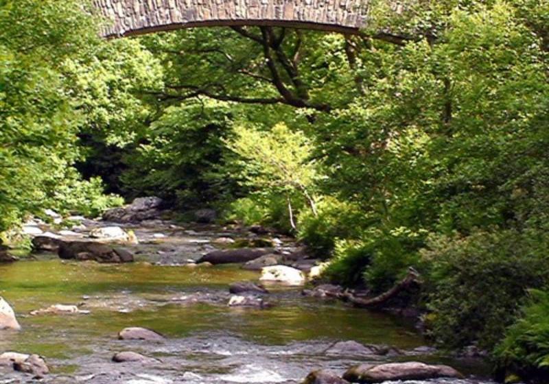 بنسيون Hillside House  Guest House