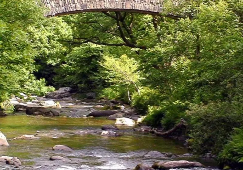 Пансион Hillside House Guest House