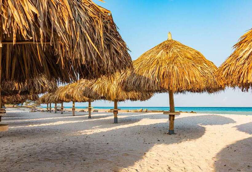 هتل Embassy Suites By Hilton Aruba Beach Resort