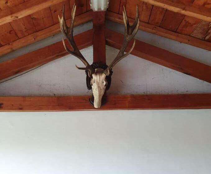 Пансион престиж