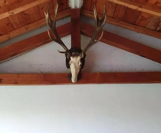 ペンション престиж