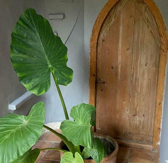 Bed and Breakfast Mas Carita