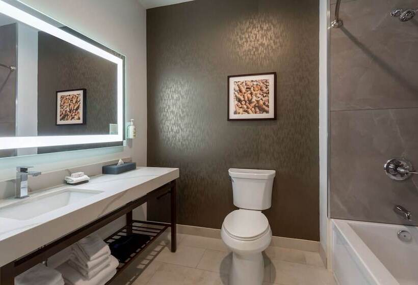 酒店 La Quinta Inn & Suites By Wyndham Galt Lodi North