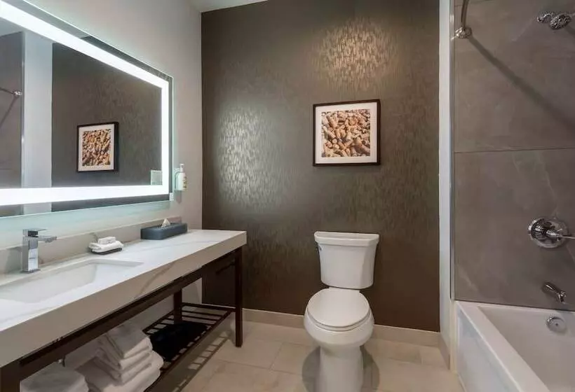 Hotelli La Quinta Inn & Suites By Wyndham Galt Lodi North