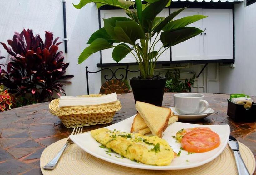 Trebol Amarillo Bed & Breakfast