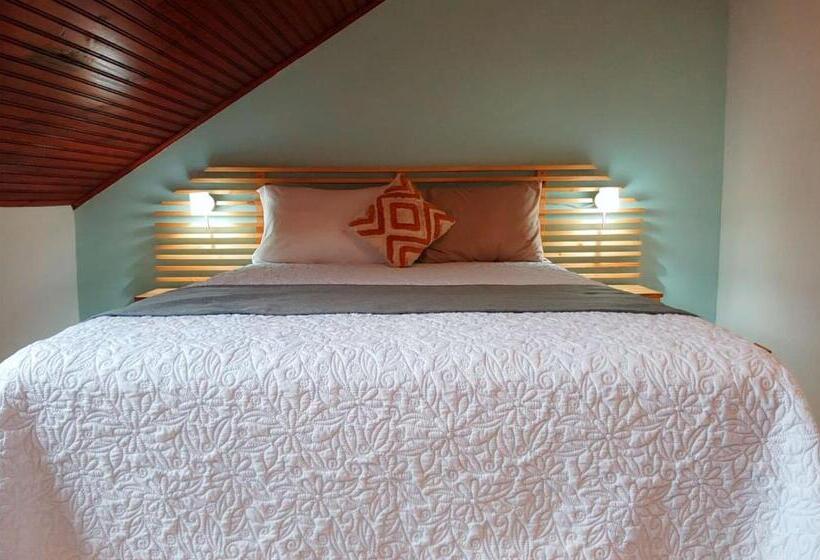 Trebol Amarillo Bed & Breakfast