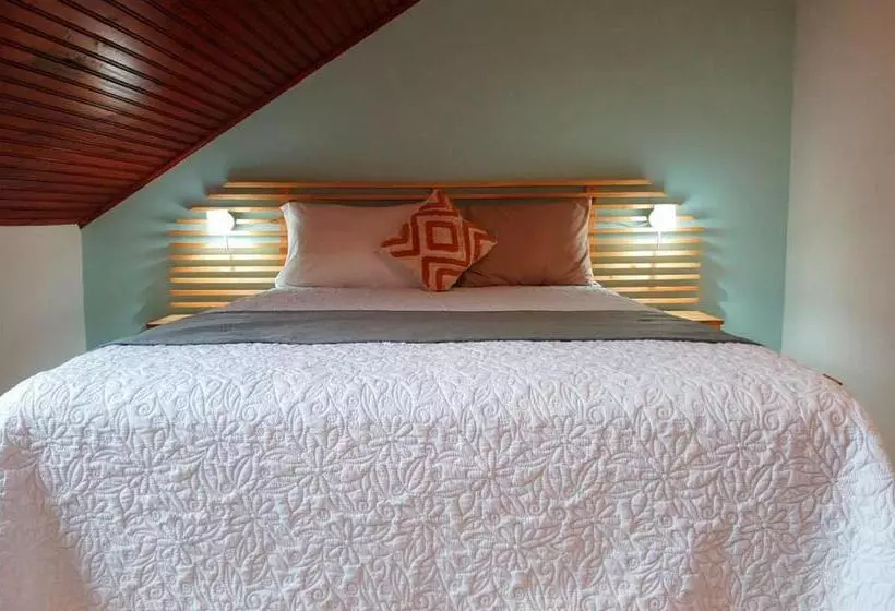 Trebol Amarillo Bed & Breakfast