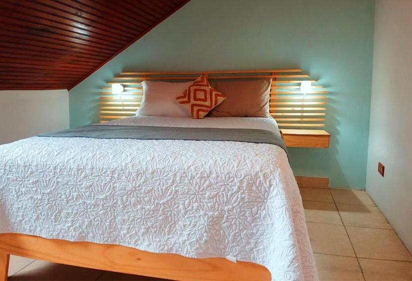 Trebol Amarillo Bed & Breakfast
