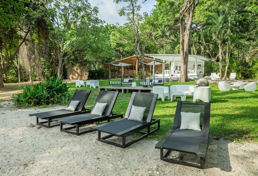 هتل Gigi Brown Beachfront Santa Teresa