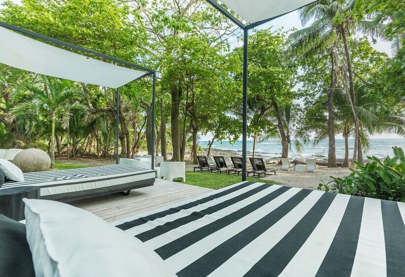 هتل Gigi Brown Beachfront Santa Teresa