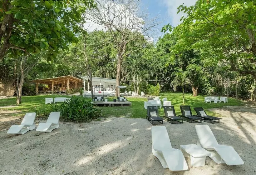 هتل Gigi Brown Beachfront Santa Teresa