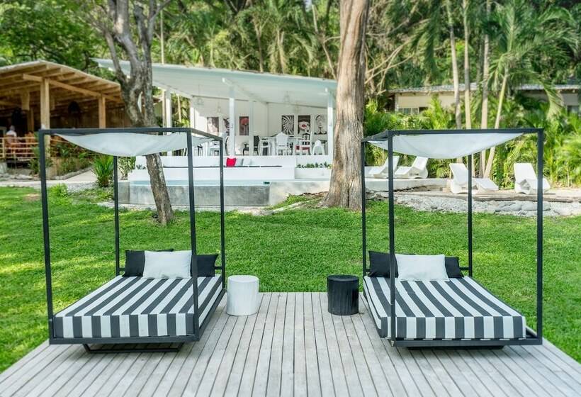 هتل Gigi Brown Beachfront Santa Teresa