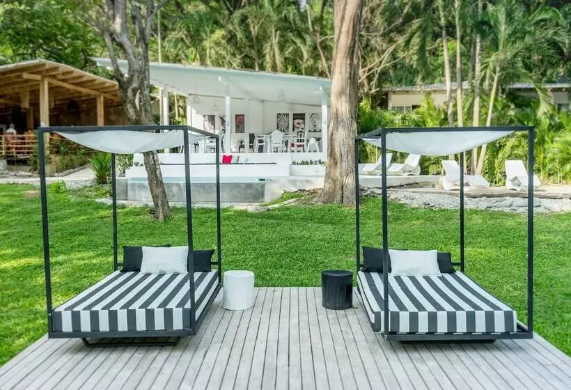 هتل Gigi Brown Beachfront Santa Teresa